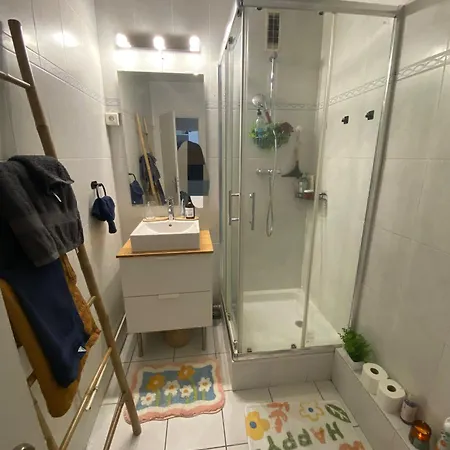 Appartement Cosy T2 Proche De L Hyper Centre De Grenoble