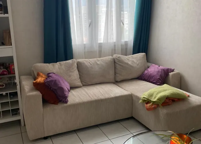 Cosy T2 Proche De L Hyper Centre De דירה גרנובל