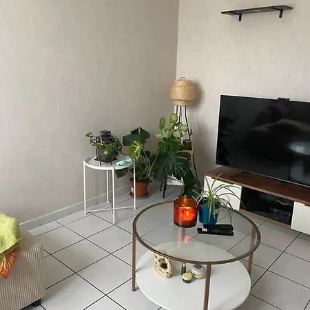Apartamento Cosy T2 Proche De L Hyper Centre De *